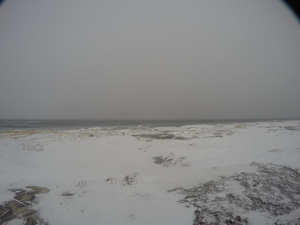 Photograph of Pinchard's Island, Newfoundland — January 9, 2018 at 11:00 AM