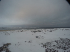 Photograph of Pinchard's Island, Newfoundland — January 9, 2018 at 1:00 PM