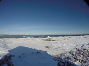 Photograph of Pinchard's Island, Newfoundland — January 10, 2018 at 8:00 AM