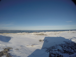 Photograph of Pinchard's Island, Newfoundland — January 10, 2018 at 11:00 AM