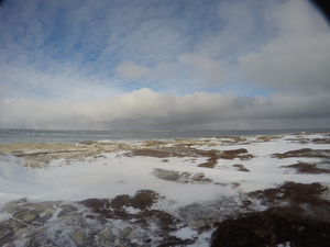 Photograph of Pinchard's Island, Newfoundland — January 13, 2018 at 9:00 AM