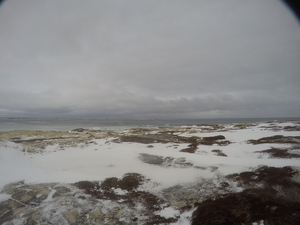 Photograph of Pinchard's Island, Newfoundland — January 13, 2018 at 10:00 AM