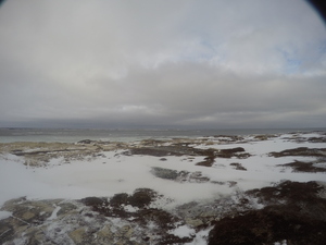 Photograph of Pinchard's Island, Newfoundland — January 13, 2018 at 11:00 AM