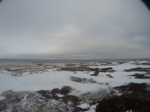 Photograph of Pinchard's Island, Newfoundland — January 13, 2018 at 12:00 PM