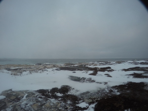 Photograph of Pinchard's Island, Newfoundland — January 13, 2018 at 1:00 PM