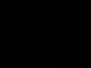 Photograph of Pinchard's Island, Newfoundland — January 13, 2018 at 8:00 PM
