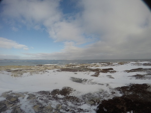 Photograph of Pinchard's Island, Newfoundland — January 14, 2018 at 8:00 AM