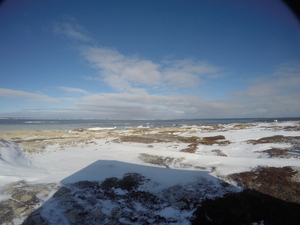 Photograph of Pinchard's Island, Newfoundland — January 14, 2018 at 9:00 AM