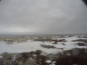 Photograph of Pinchard's Island, Newfoundland — January 15, 2018 at 7:59 AM