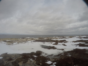 Photograph of Pinchard's Island, Newfoundland — January 15, 2018 at 8:59 AM