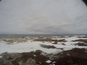 Photograph of Pinchard's Island, Newfoundland — January 15, 2018 at 9:59 AM