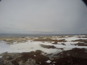 Photograph of Pinchard's Island, Newfoundland — January 15, 2018 at 10:59 AM