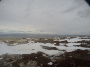 Photograph of Pinchard's Island, Newfoundland — January 15, 2018 at 11:59 AM