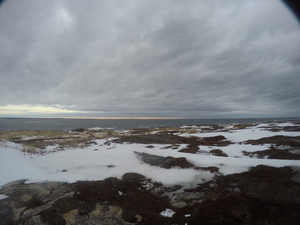 Photograph of Pinchard's Island, Newfoundland — January 15, 2018 at 12:59 PM