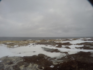 Photograph of Pinchard's Island, Newfoundland — January 16, 2018 at 7:59 AM