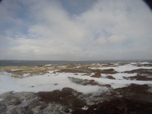 Photograph of Pinchard's Island, Newfoundland — January 16, 2018 at 8:59 AM