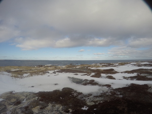 Photograph of Pinchard's Island, Newfoundland — January 16, 2018 at 9:59 AM