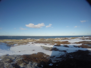 Photograph of Pinchard's Island, Newfoundland — January 16, 2018 at 10:59 AM