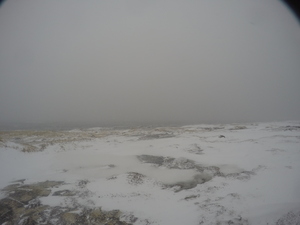 Photograph of Pinchard's Island, Newfoundland — January 17, 2018 at 8:59 AM