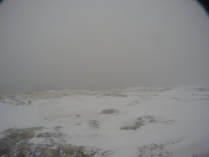 Photograph of Pinchard's Island, Newfoundland — January 17, 2018 at 9:59 AM