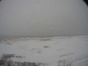 Photograph of Pinchard's Island, Newfoundland — January 17, 2018 at 10:59 AM