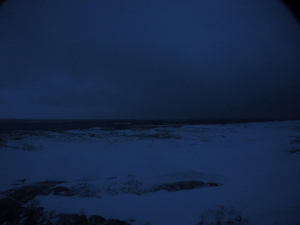 Photograph of Pinchard's Island, Newfoundland — January 17, 2018 at 1:59 PM