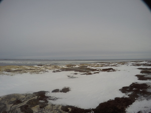 Photograph of Pinchard's Island, Newfoundland — January 19, 2018 at 8:00 AM