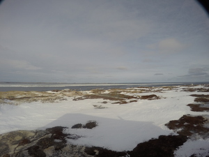Photograph of Pinchard's Island, Newfoundland — January 19, 2018 at 8:59 AM