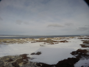 Photograph of Pinchard's Island, Newfoundland — January 19, 2018 at 9:59 AM