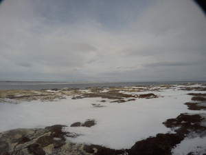 Photograph of Pinchard's Island, Newfoundland — January 19, 2018 at 10:59 AM
