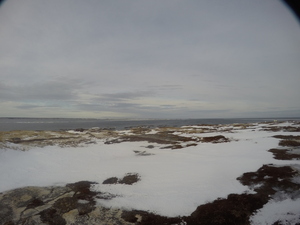 Photograph of Pinchard's Island, Newfoundland — January 19, 2018 at 11:59 AM