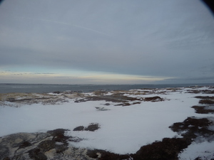 Photograph of Pinchard's Island, Newfoundland — January 19, 2018 at 12:59 PM