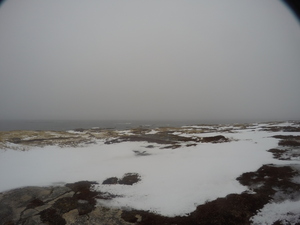 Photograph of Pinchard's Island, Newfoundland — January 20, 2018 at 7:59 AM