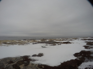 Photograph of Pinchard's Island, Newfoundland — January 20, 2018 at 8:59 AM