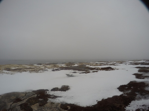 Photograph of Pinchard's Island, Newfoundland — January 20, 2018 at 9:59 AM