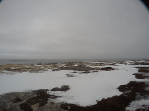 Photograph of Pinchard's Island, Newfoundland — January 20, 2018 at 10:59 AM