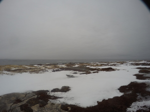Photograph of Pinchard's Island, Newfoundland — January 20, 2018 at 11:59 AM