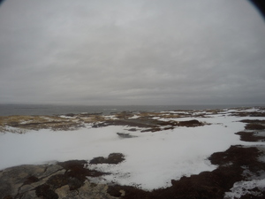 Photograph of Pinchard's Island, Newfoundland — January 20, 2018 at 12:59 PM
