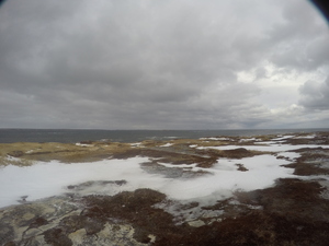 Photograph of Pinchard's Island, Newfoundland — January 21, 2018 at 7:59 AM