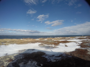 Photograph of Pinchard's Island, Newfoundland — January 21, 2018 at 8:59 AM