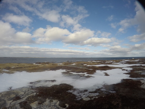 Photograph of Pinchard's Island, Newfoundland — January 21, 2018 at 9:59 AM