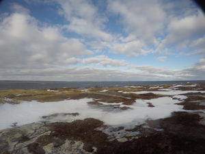 Photograph of Pinchard's Island, Newfoundland — January 21, 2018 at 10:59 AM