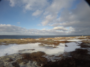 Photograph of Pinchard's Island, Newfoundland — January 21, 2018 at 11:59 AM