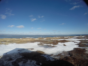 Photograph of Pinchard's Island, Newfoundland — January 22, 2018 at 7:59 AM
