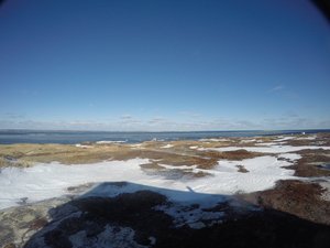Photograph of Pinchard's Island, Newfoundland — January 22, 2018 at 8:59 AM