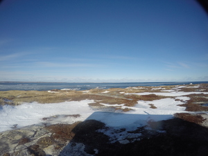 Photograph of Pinchard's Island, Newfoundland — January 22, 2018 at 9:59 AM