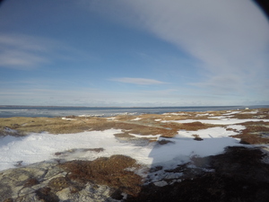 Photograph of Pinchard's Island, Newfoundland — January 22, 2018 at 10:59 AM