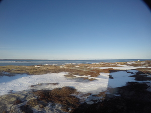 Photograph of Pinchard's Island, Newfoundland — January 22, 2018 at 11:59 AM