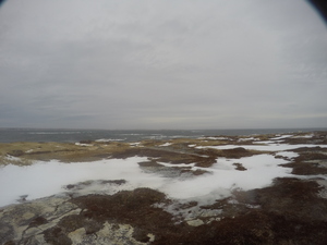 Photograph of Pinchard's Island, Newfoundland — January 23, 2018 at 7:59 AM