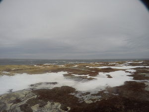 Photograph of Pinchard's Island, Newfoundland — January 23, 2018 at 8:59 AM